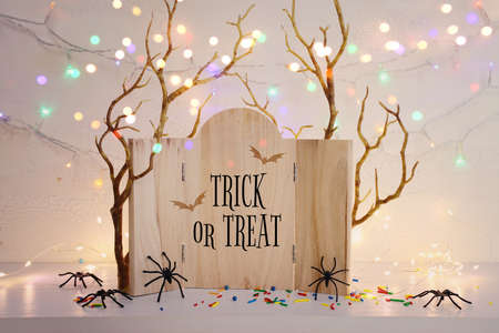 holidays image of Halloween. spiders, bare trees and wooden board frame with textの写真素材