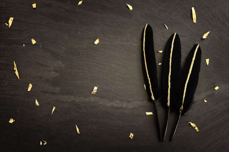 Background of black feathers with golden stripesの写真素材
