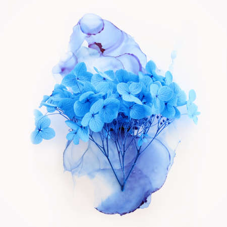 Creative image of blue Hydrangea flowers on artistic ink background. Top view with copy spaceの写真素材
