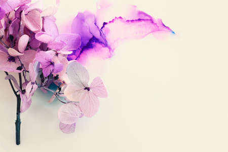 Creative image of pink and purple Hydrangea flowers on artistic ink background. Top view with copy spaceの写真素材