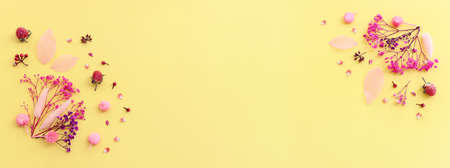 Top view image of pink and purple flowers composition over pastel yellow background .Flat lay