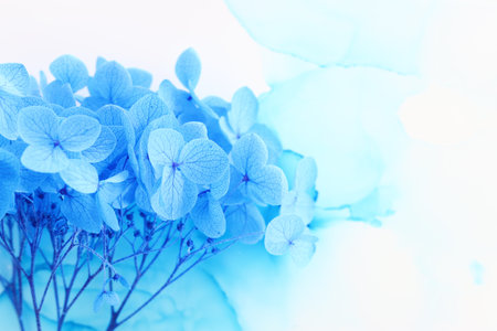Creative image of blue Hydrangea flowers on artistic ink background. Top view with copy space