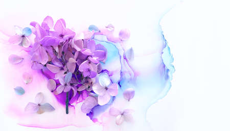Creative image of pink and purple Hydrangea flowers on artistic ink background. Top view with copy spaceの写真素材