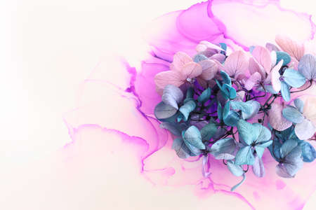Creative image of pink and turquoise Hydrangea flowers on artistic ink background. Top view with copy spaceの写真素材