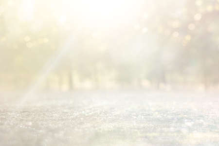 blurred abstract photo of light burst among trees and glitter golden bokeh lightsの写真素材
