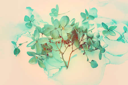 Creative image of emerald and green Hydrangea flowers on artistic ink background. Top view with copy spaceの写真素材