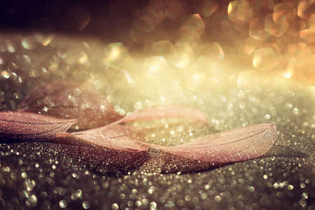 Abstract image of transparent leaves over glitter golden backgroundの写真素材