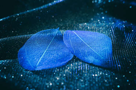 Abstract image of transparent leaves over glitter fabric background