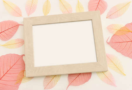 Colorful transparent and delicate skeleton leaves over pastel background