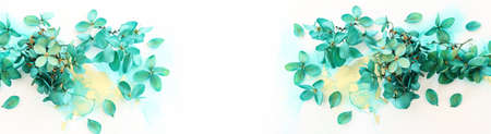Creative image of emerald and green Hydrangea flowers on artistic ink background. Top view with copy...