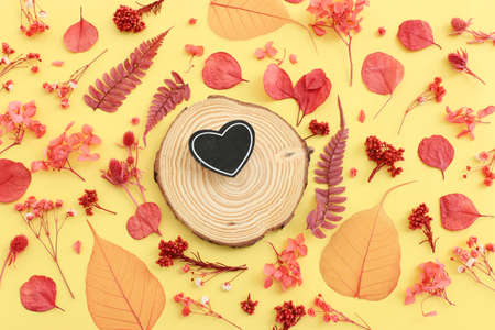 Top view image of autumn forest natural composition over yellow background .Flat lay