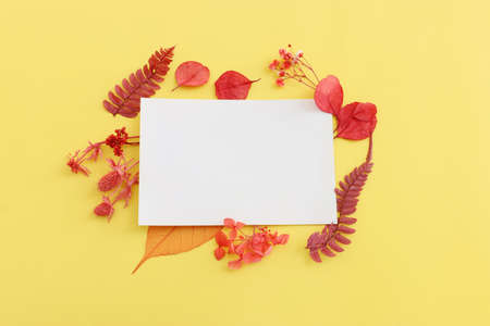 Top view image of autumn forest natural composition over yellow background .Flat lay