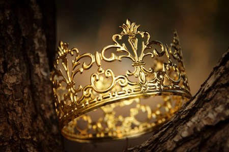 mysterious and magical photo of gold king crown in the woods. Medieval period concept.の写真素材