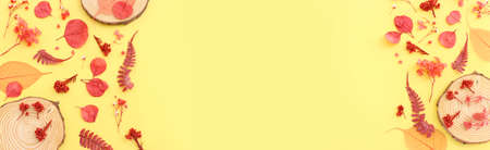 Top view image of autumn forest natural composition over yellow background .Flat layの写真素材