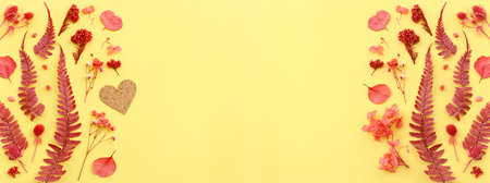 Top view image of autumn forest natural composition over yellow background .Flat lay