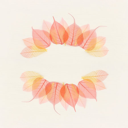 Colorful transparent and delicate skeleton leaves over wooden white background