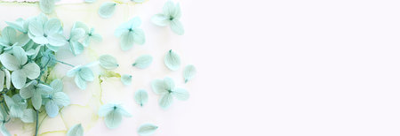 Creative image of pastel mint green Hydrangea flowers on artistic ink background. Top view with copy spaceの写真素材
