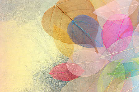 Colorful transparent and delicate skeleton leaves over metallic background