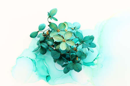 Creative image of emerald and green Hydrangea flowers on artistic ink background. Top view with copy...