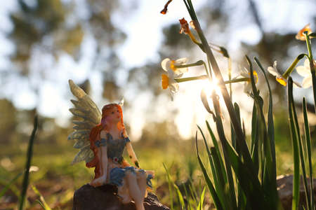 image of magical little fairy in the forest at sunset