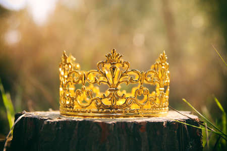 mysterious and magical photo of gold king crown in the woods. Medieval period concept.の写真素材