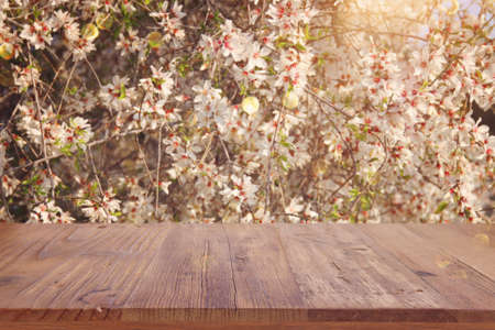 wooden table in front of spring blossom tree landscape. Product display and presentationの写真素材