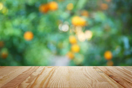 Empty wooden table in front of orange fieldの写真素材