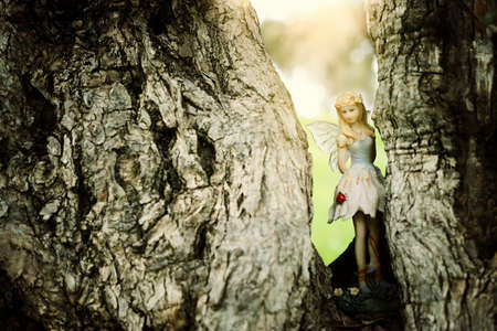 image of magical little fairy in the forest sitting on the treeの写真素材