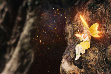image of magical little fairy in the forest sitting on the treeの写真素材