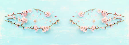 image of spring white cherry blossoms tree over blue wooden background. vintage filtered image