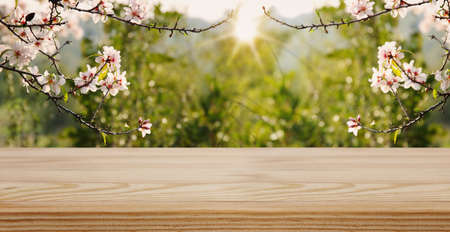 wooden table in front of spring blossom tree landscape. Product display and presentationの写真素材