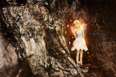 image of magical little fairy in the forest sitting on the treeの写真素材