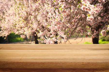 wooden table in front of spring blossom tree landscape. Product display and presentation