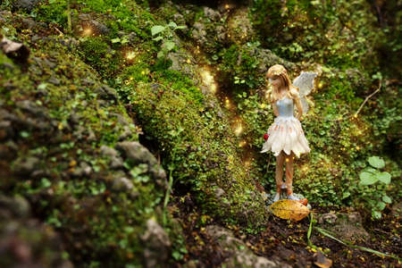 image of magical little fairy in the forestの写真素材