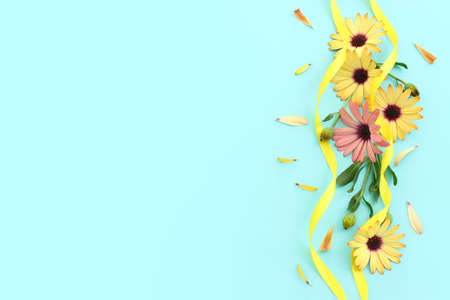 Top view image of yellow and purple chrysanthemum flowers composition over blue background. Flat layの写真素材