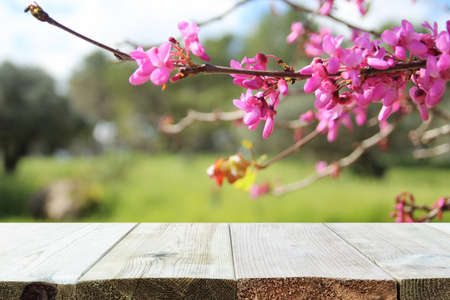 wooden table in front of spring blossom tree landscape. Product display and presentationの写真素材