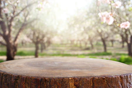 wooden table in front of spring blossom tree landscape. Product display and presentationの写真素材