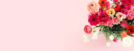 Top view image of colorful buttercup flowers composition over pink pastel background