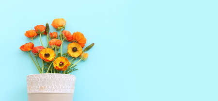 Top view image of yellow flowers composition over blue pastel background