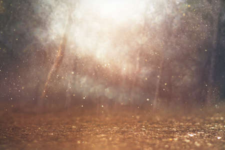blurred abstract photo of light burst among trees and glitter bokeh lightsの写真素材