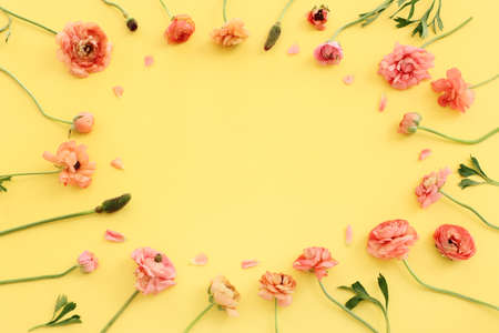 Top view image of pink buttercup flowers composition over yellow pastel background