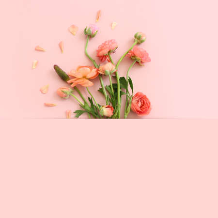 Top view image of pink flowers composition over pastel backgroundの写真素材