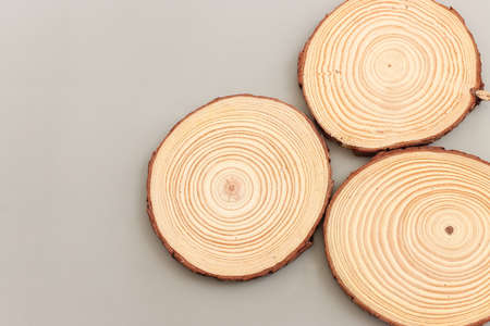 Wooden logs over gray background, eco and spa conceptの写真素材