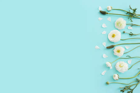 Top view image of white flowers composition over blue pastel background