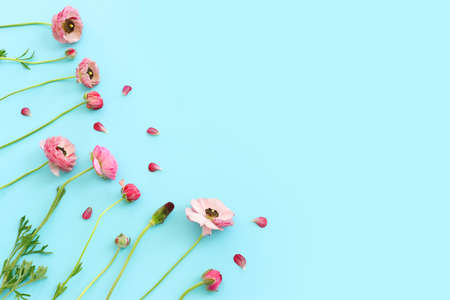 Top view image of pink flowers composition over blue background