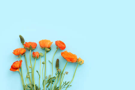 Top view image of yellow flowers composition over blue backgroundの写真素材