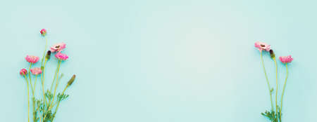 Top view image of pink flowers composition over blue backgroundの写真素材