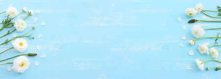 Top view image of white flowers composition over wooden blue pastel background