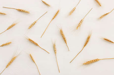 top view of wheat crops over white wooden background. Symbols of jewish holiday - Shavuot