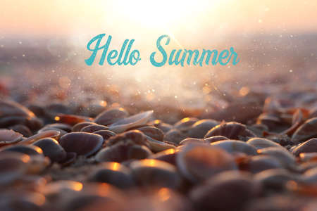 Close up image of seashells during sunset time at the beachの写真素材